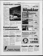 Síða 3
