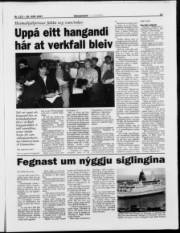 Síða 11
