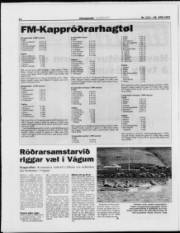 Síða 14
