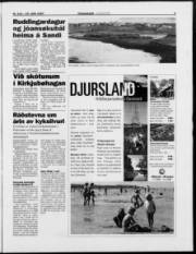 Síða 3