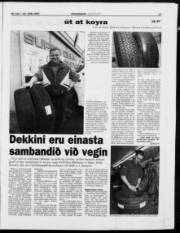 Síða 17