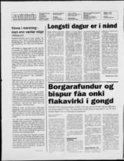 Síða 2