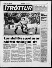 Síða 19