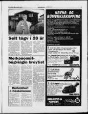 Síða 5