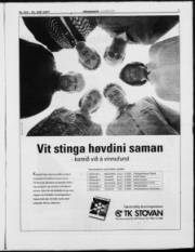 Síða 7