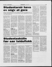 Síða 17