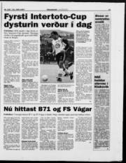 Síða 21