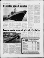 Síða 5