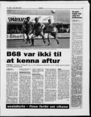 Síða 13