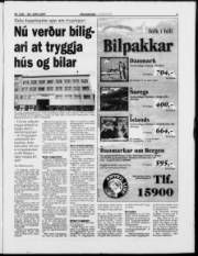 Síða 3