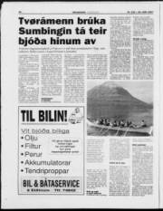 Síða 20