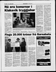 Síða 3
