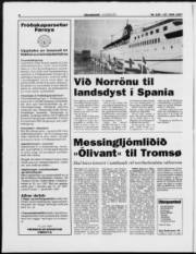 Síða 8
