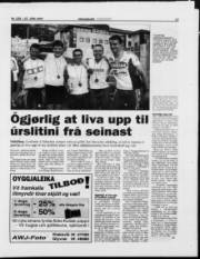 Síða 17