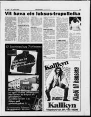 Síða 21