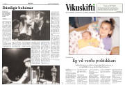 Síða 13