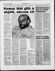 Síða 3