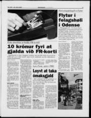 Síða 5