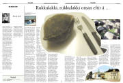 Síða 14