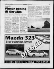 Síða 11