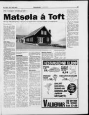 Síða 17