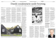 Síða 17