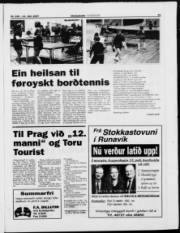 Síða 15