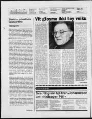 Síða 2