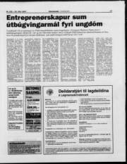 Síða 17