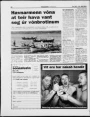 Síða 20