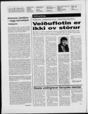 Síða 2