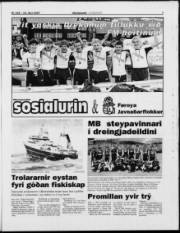 Síða 7