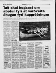 Síða 13