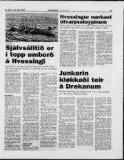 Síða 15