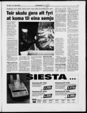 Síða 3