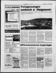 Síða 6
