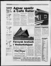 Síða 20
