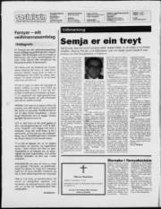 Síða 2