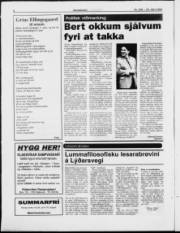 Síða 8