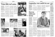 Síða 3