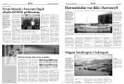 Síða 5