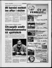 Síða 3