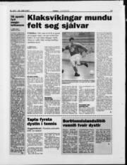 Síða 17