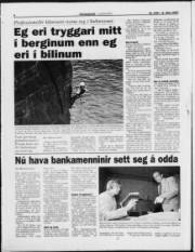 Síða 6