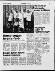 Síða 15