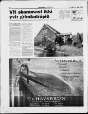 Síða 20