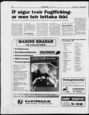 Síða 22