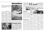 Síða 8