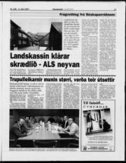 Síða 11