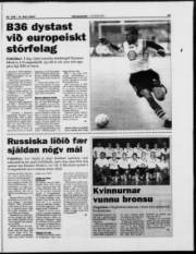 Síða 19